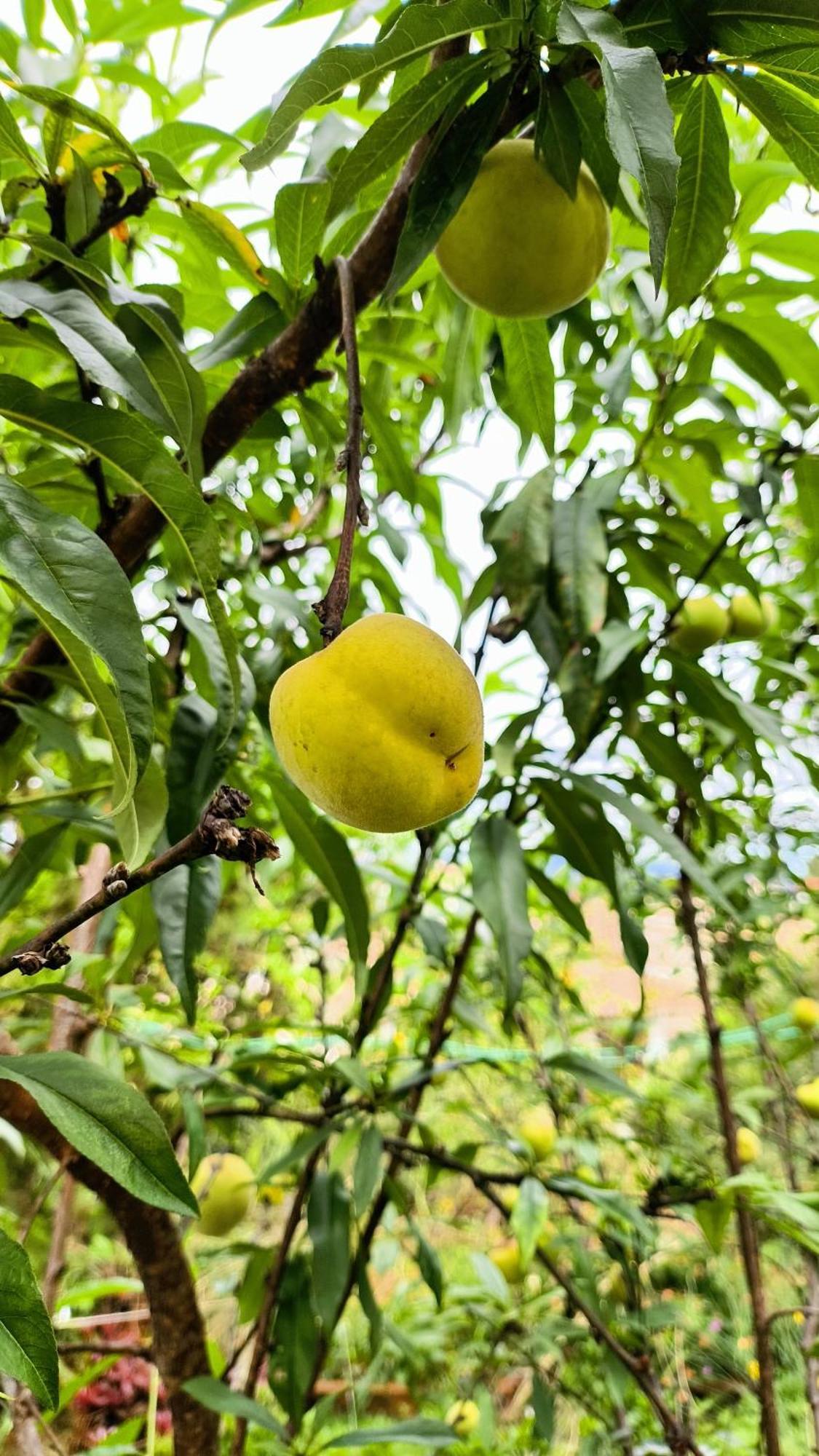 Casa Diamantina公寓 外观 照片